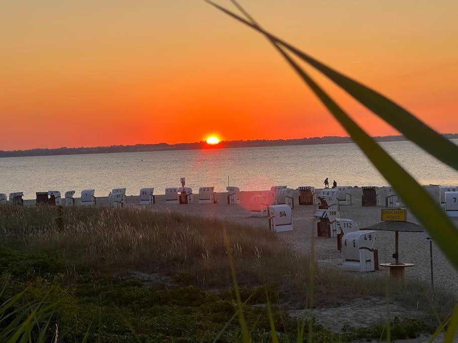Neue Ferienwohnung Kuestennaehe Mit Terrasse 3Km Zum Strand Osdorf Kültér fotó