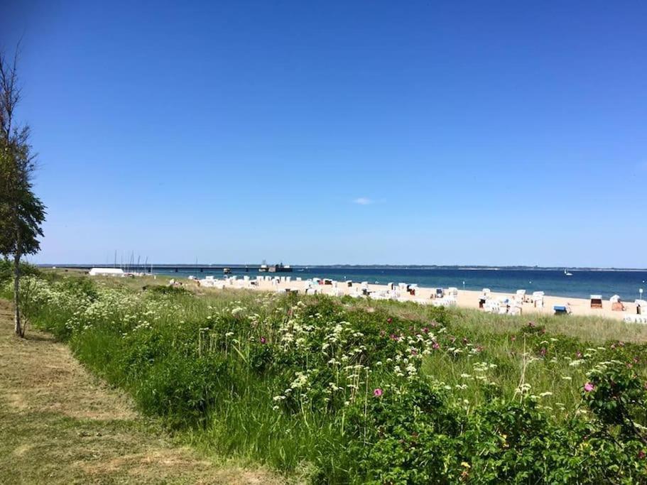 Neue Ferienwohnung Kuestennaehe Mit Terrasse 3Km Zum Strand Osdorf Kültér fotó